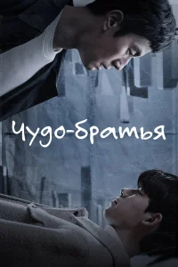 Чудесные братья бесплатно
